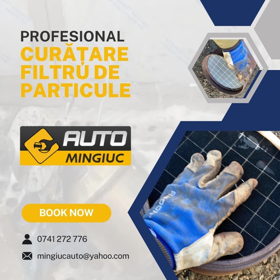 Serviciul Curățare Filtru de Particule