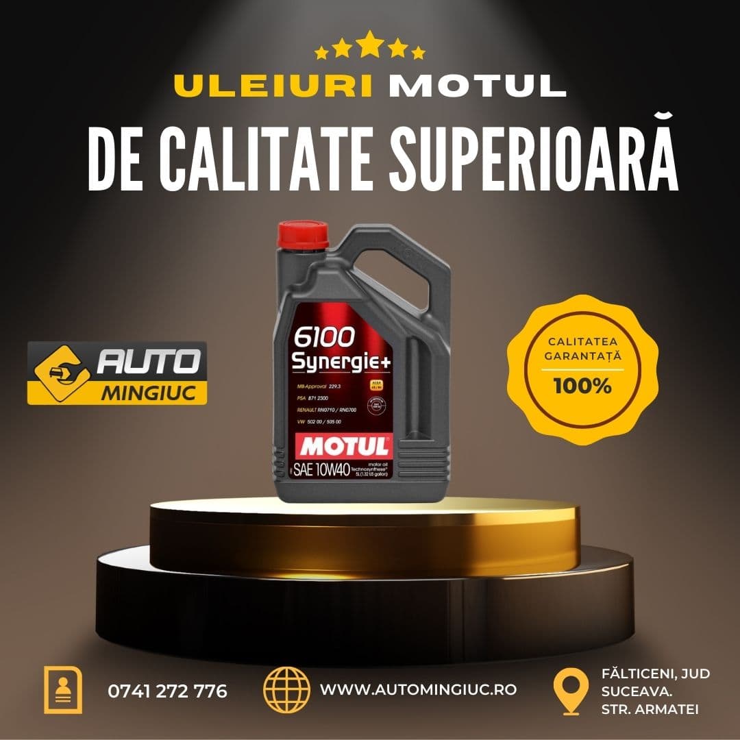 AUTO Mingiuc - imagine 6