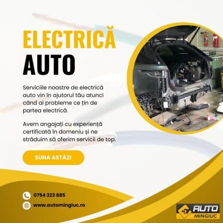 AUTO Mingiuc - imagine 13